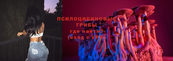 MDMA Premium VHQ Карталы