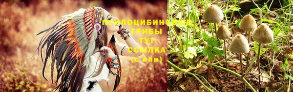 MDMA Premium VHQ Карталы