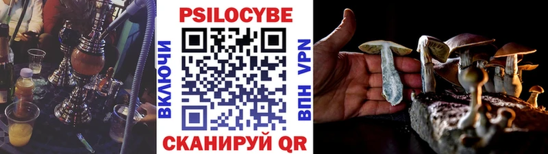Купить где  Баймак  Галлюциногенные грибы Magic Shrooms 